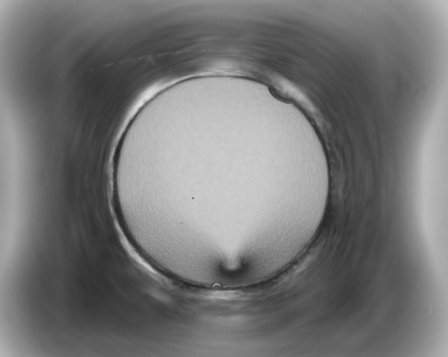 X0000085761479200704091325