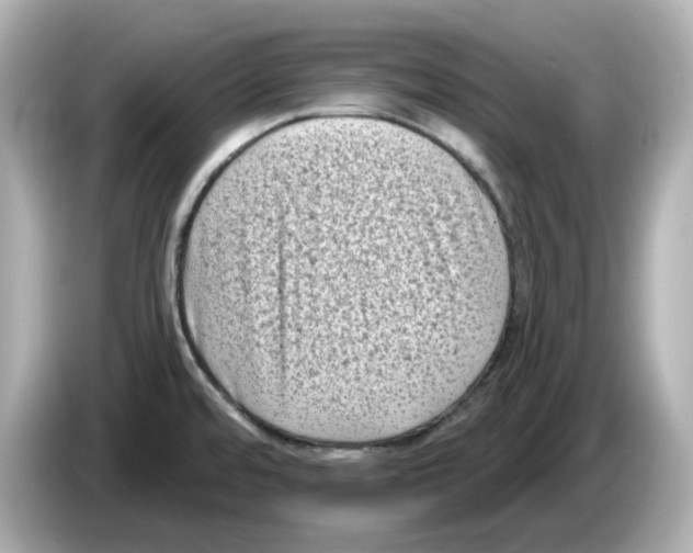 X0000085761480200704091325
