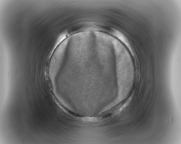 X0000085761481200704091325