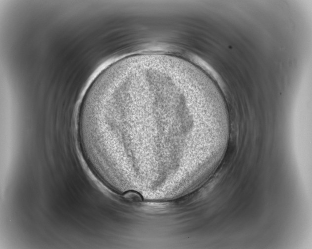 X0000085761483200704091325