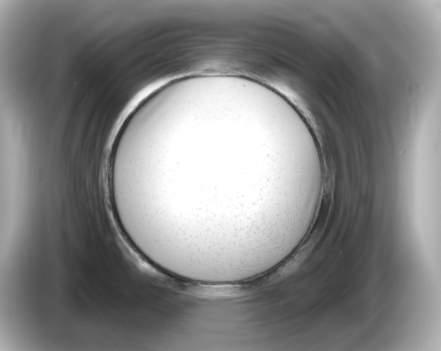 X0000085761486200704091325