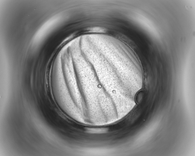 X0000085761487200704091325