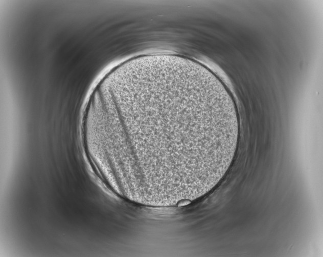 X0000085761488200704091325