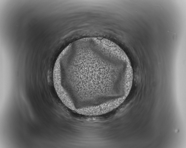 X0000085761490200704091324