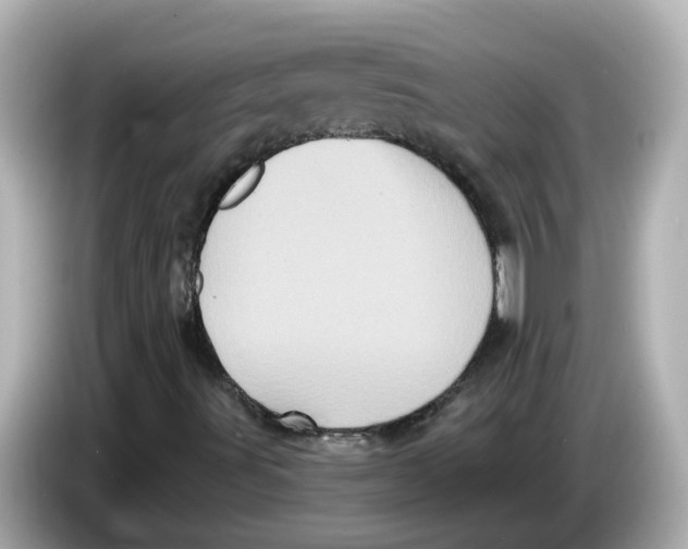 X0000085761491200704091324