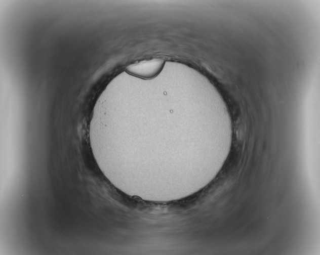 X0000085761495200704091325
