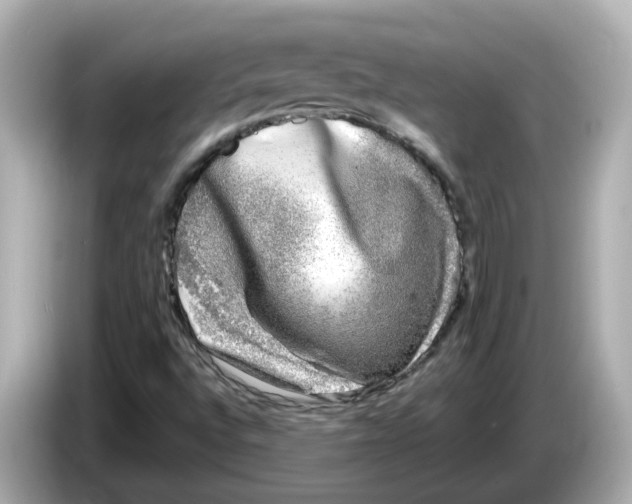 X0000085761496200704091325