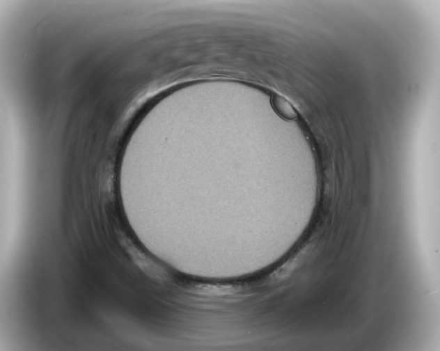 X0000085761499200704091325