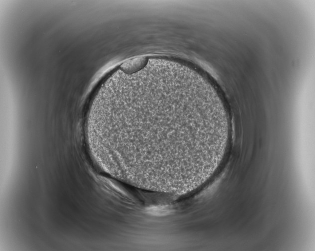 X0000085761501200704091325