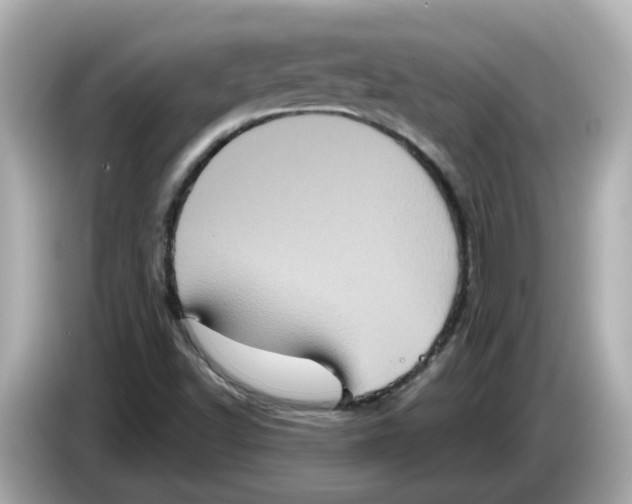 X0000085761502200704091325