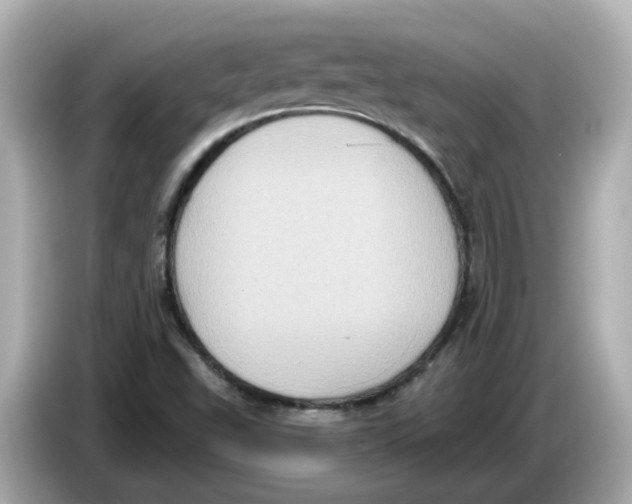 X0000085761503200704091325