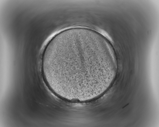 X0000085761504200704091325