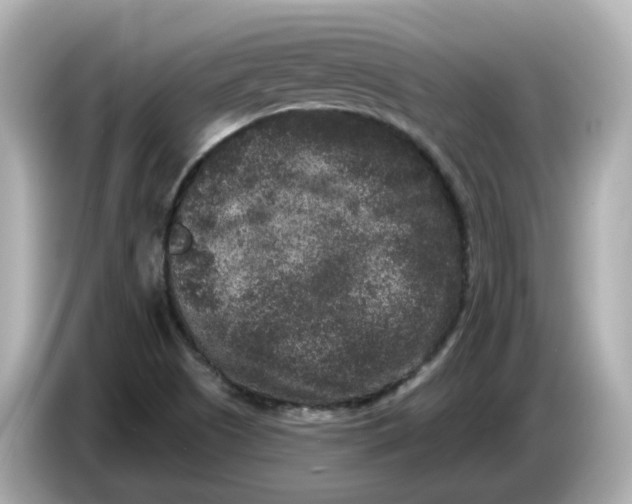 X0000085761505200704091325
