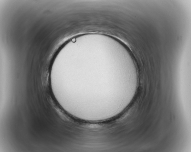 X0000085761507200704091325