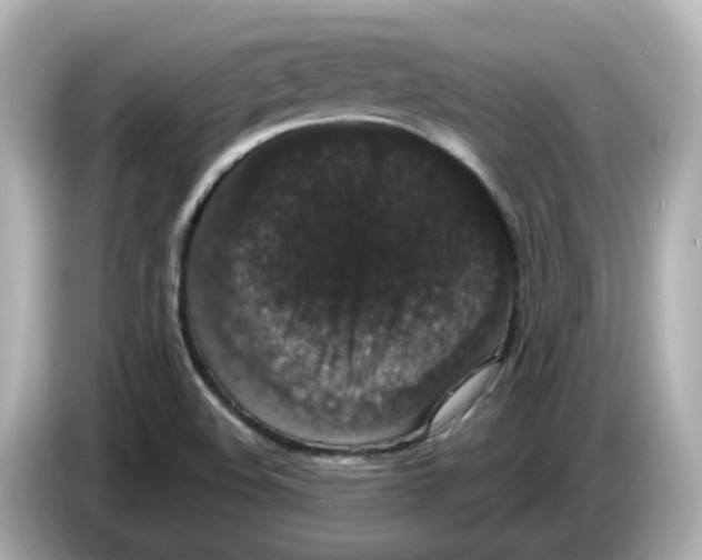 X0000085761508200704091325