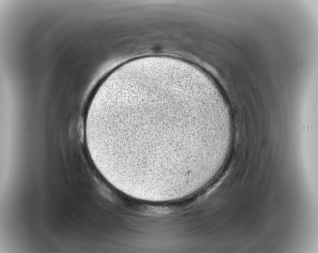 X0000085761509200704091325