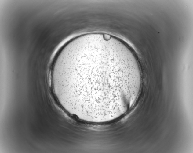 X0000085761510200704091325