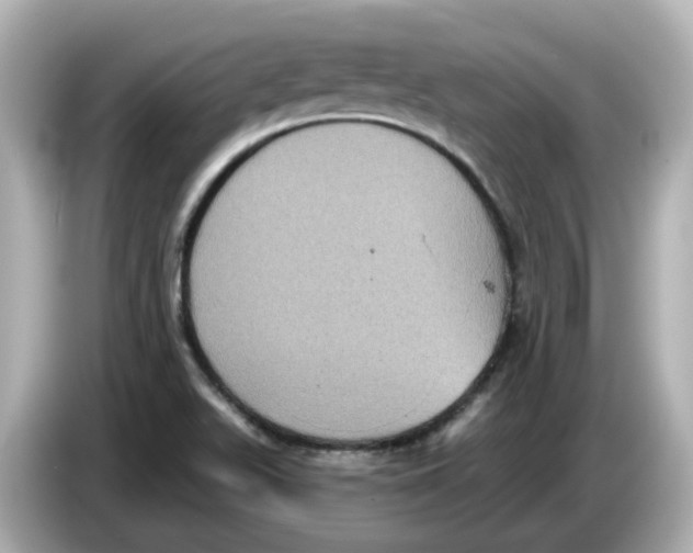 X0000085761511200704091325
