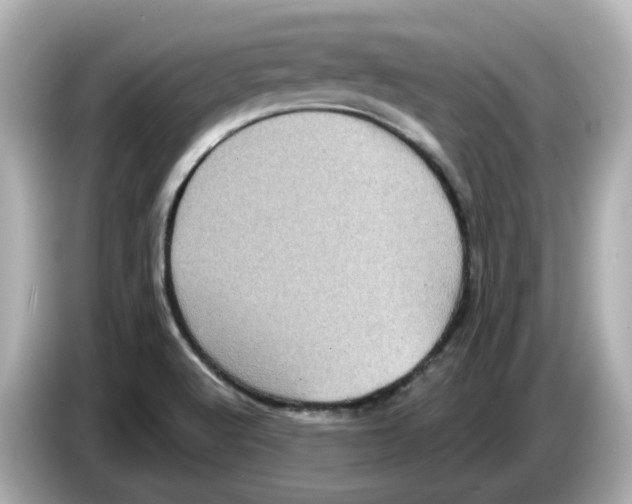 X0000085761512200704091325