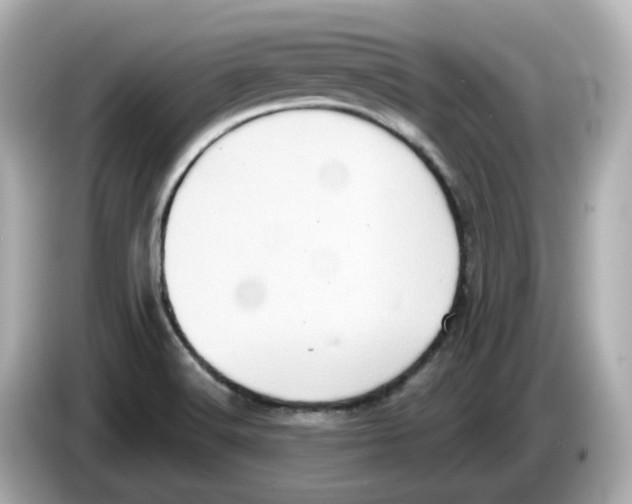 X0000085761516200704091325