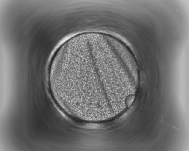 X0000085761517200704091325