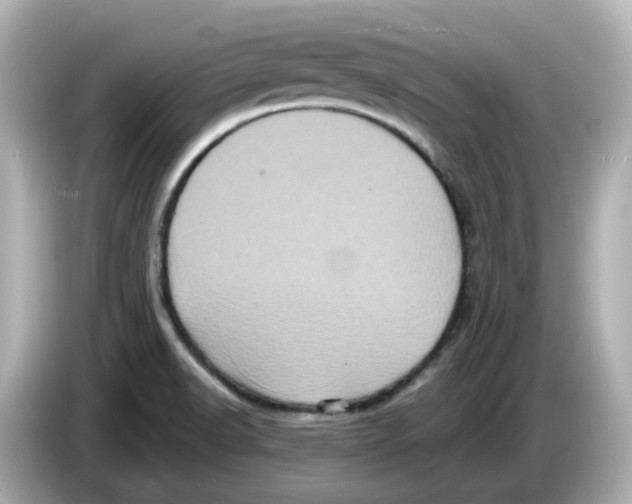 X0000085761518200704091325