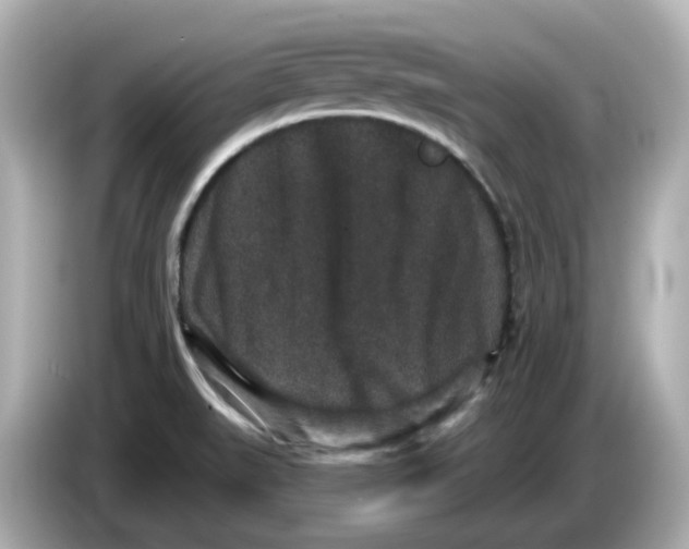 X0000085761519200704091325