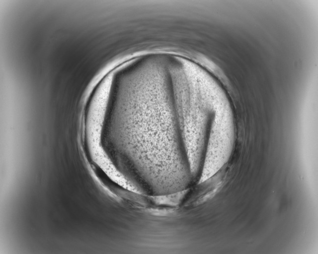 X0000085761520200704091325