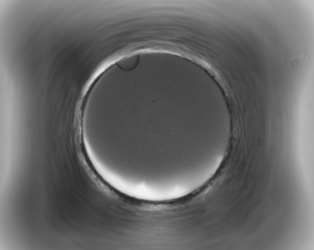 X0000085761522200704091325