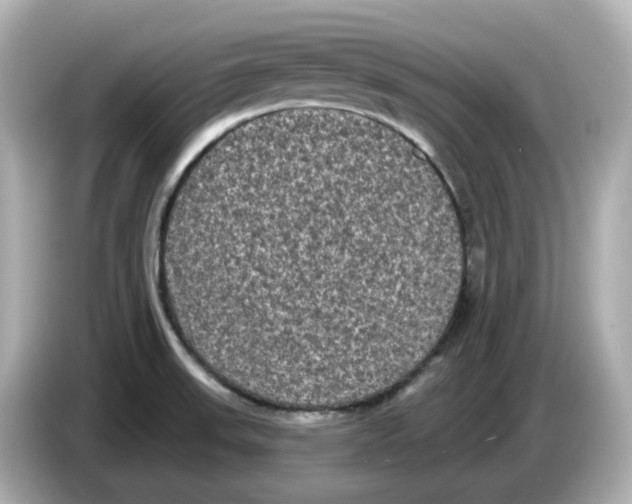 X0000085761523200704091325