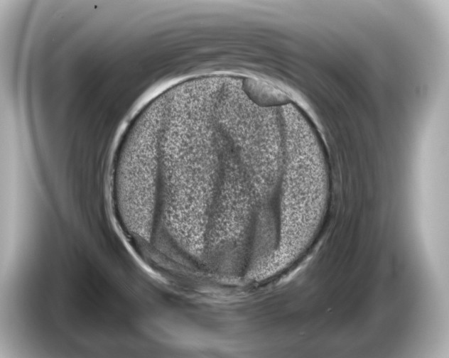 X0000085761525200704091325