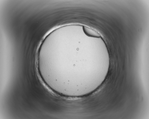 X0000085761526200704091325