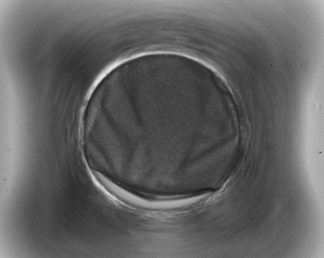 X0000085761527200704091325