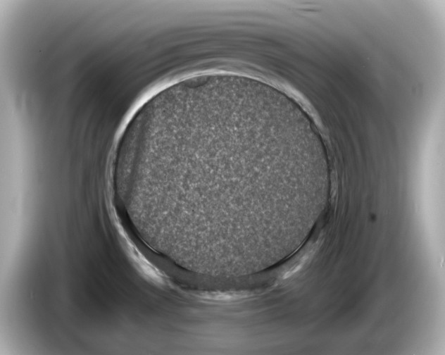 X0000085761530200704091325