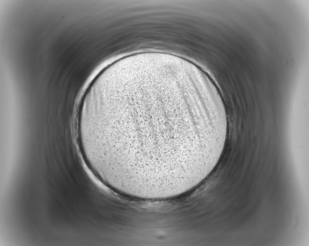 X0000085761531200704091325