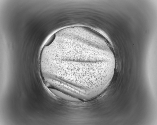 X0000085761532200704091325