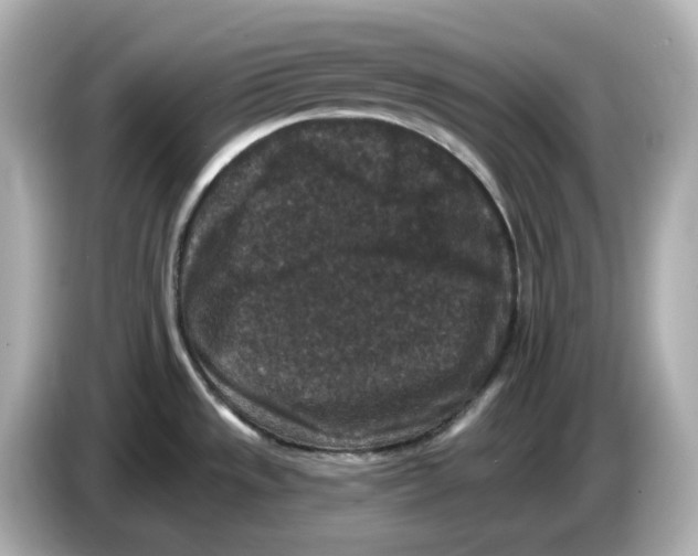 X0000085761533200704091325