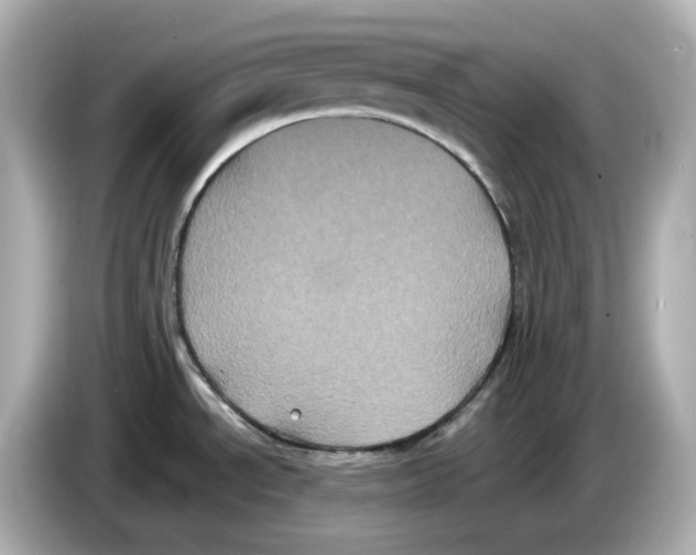 X0000085761534200704091325