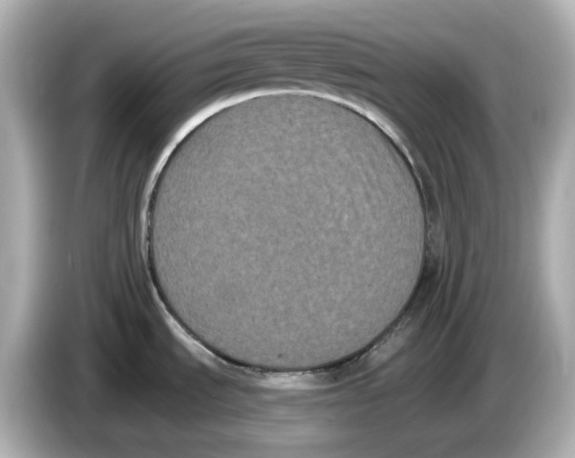 X0000085761535200704091325
