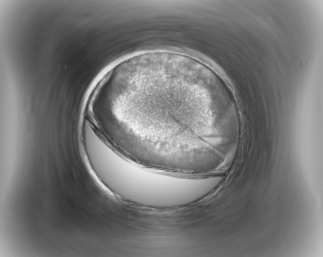 X0000085761536200704091325