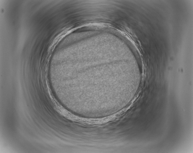 X0000085760001200704131750