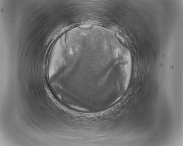 X0000085760002200704131750