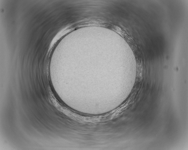 X0000085760004200704131750