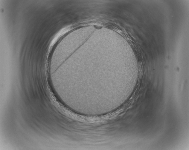 X0000085760006200704131750