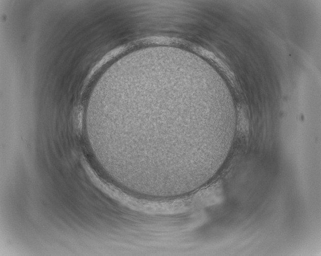 X0000085760016200704131749