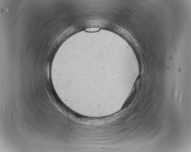 X0000085760021200704131749