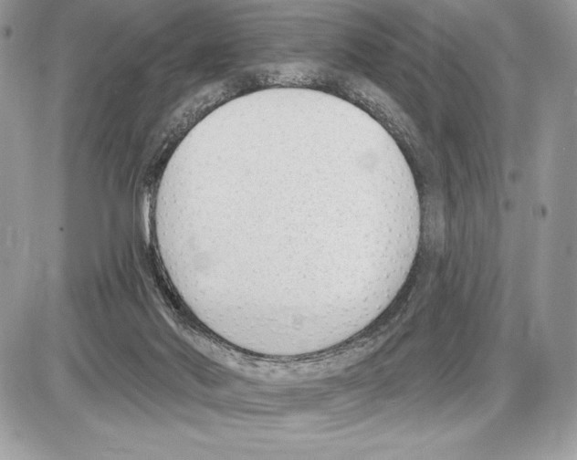 X0000085760022200704131749