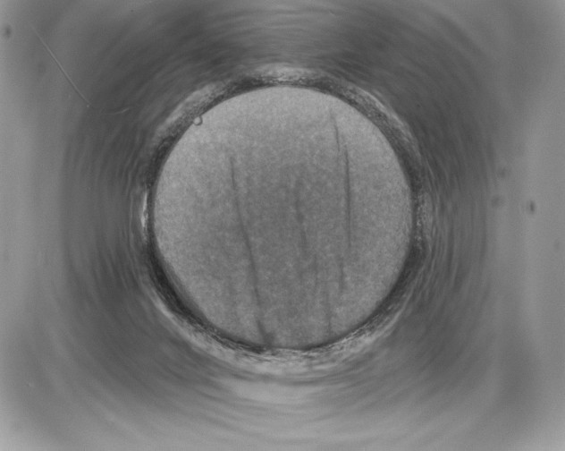 X0000085760024200704131749