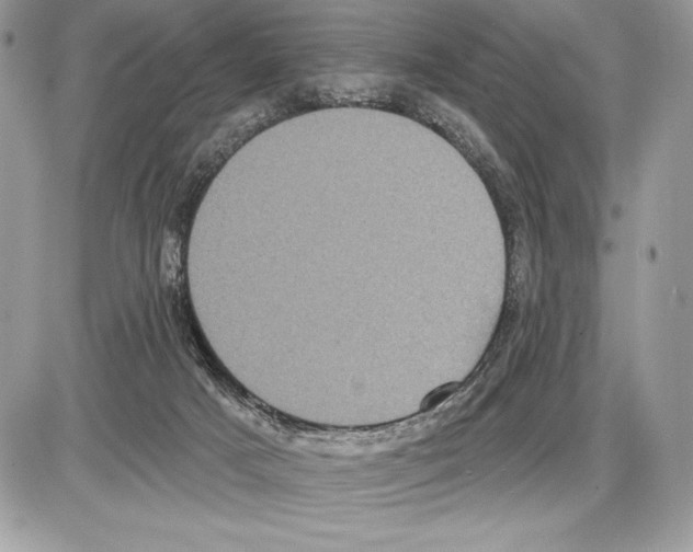 X0000085760025200704131749