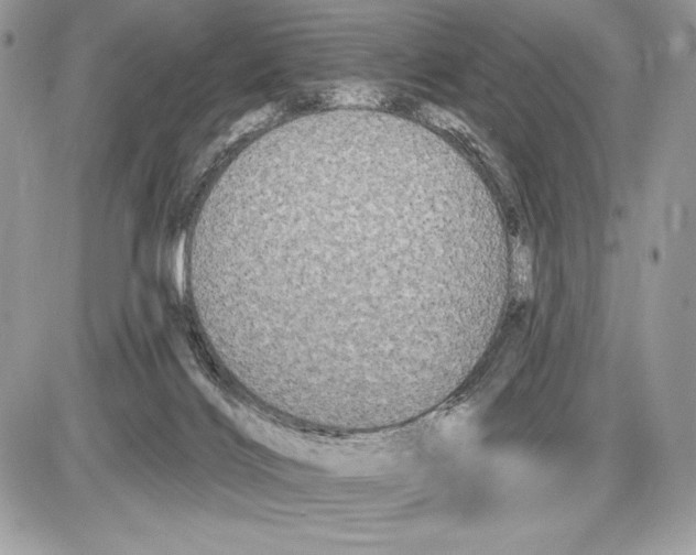 X0000085760028200704131749